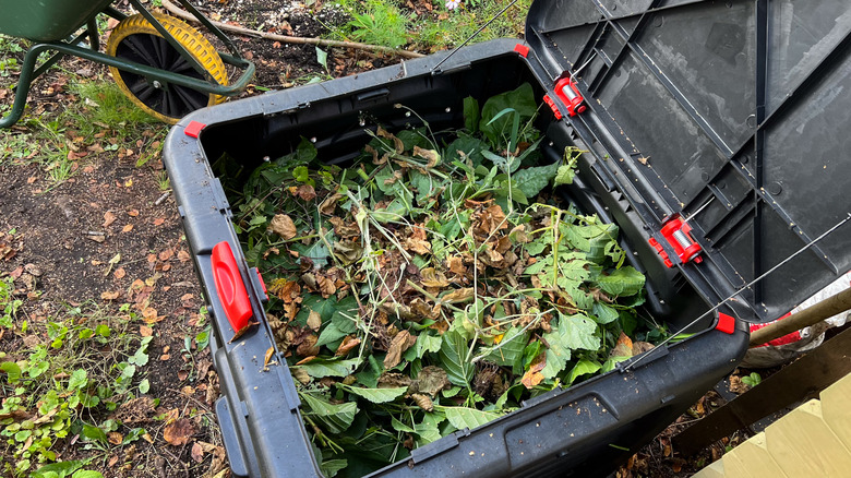 A large pail of organic compost in a garden.