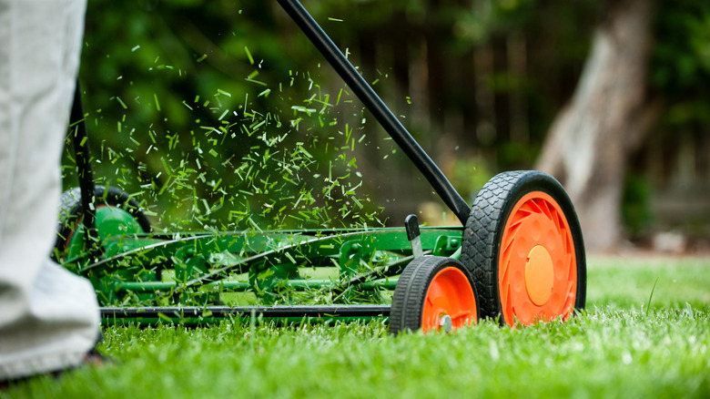 Grass clippings flying off of lawn mower