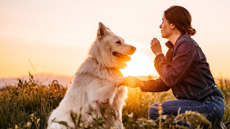 Woman giving dog treat outdoors 