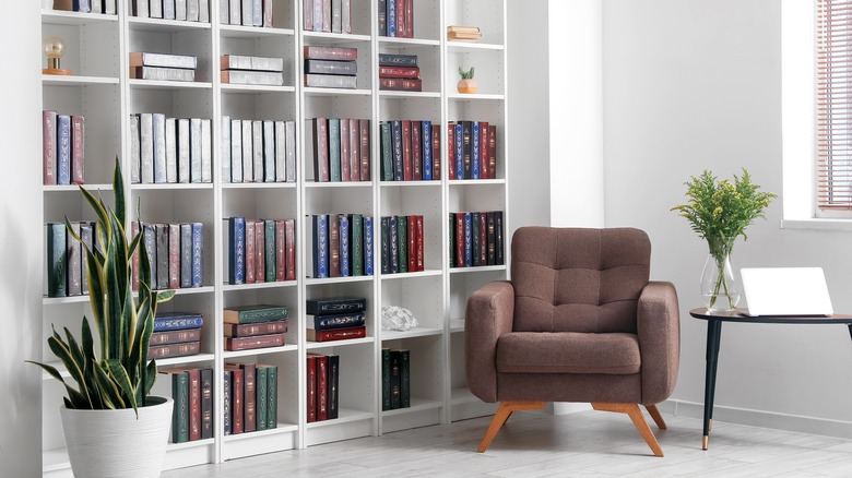 Bookcase and empty shelves