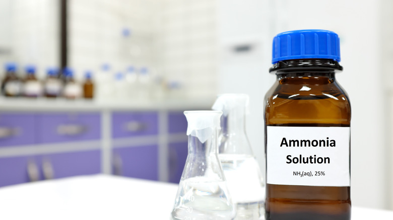 ammonia solution bottle