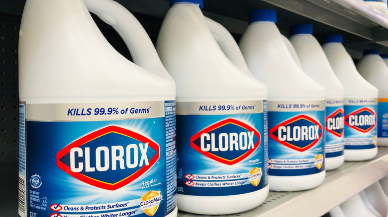 shelf of bleach bottles