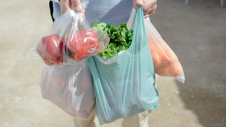 person holding plastic bags filled with vegetables
