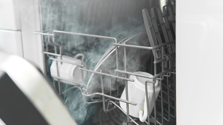 steam dishwasher heated dry