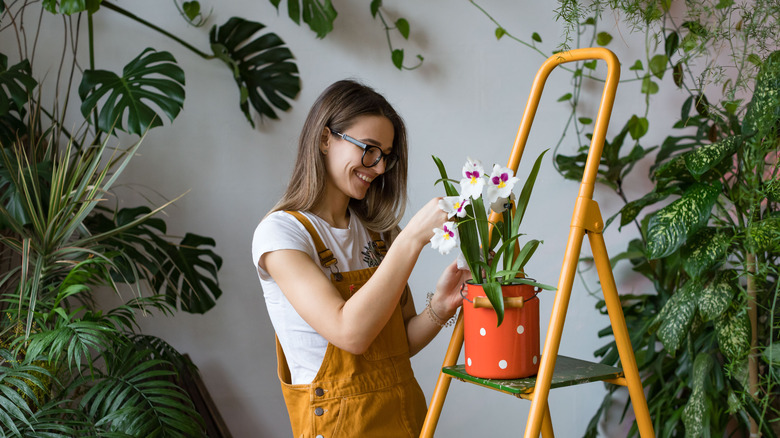 woman taking care of plants