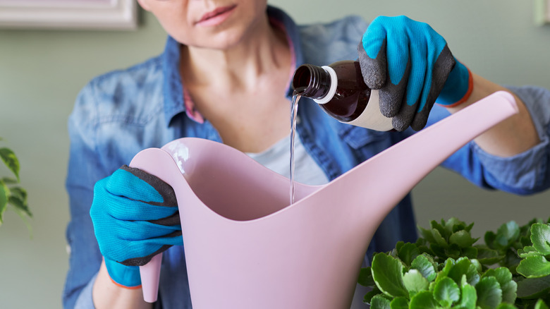 Woman adding fertilizer to watering can