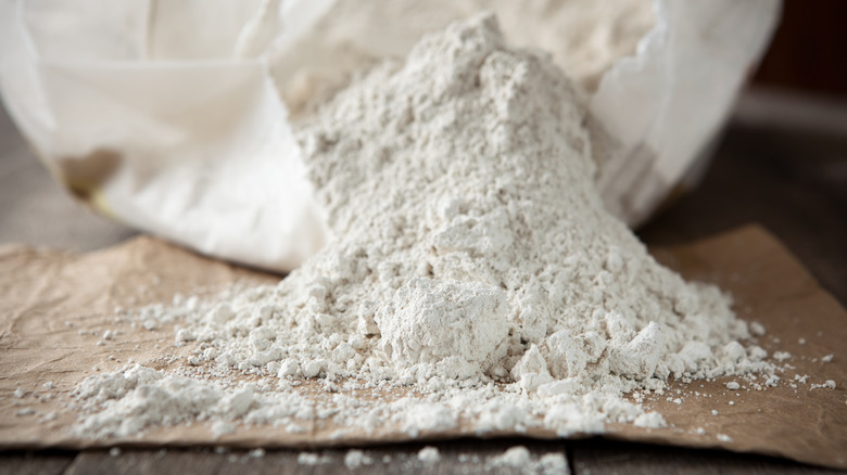 close up of diatomaceous earth