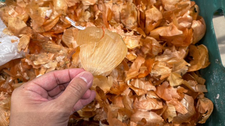 A man holds up a dry peel from a basket of onion peels