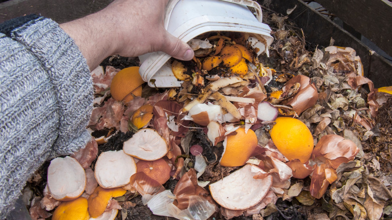 Compost pile with eggshells and onion peels