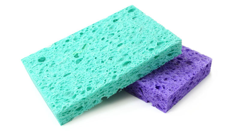 Green sponge on purple sponge