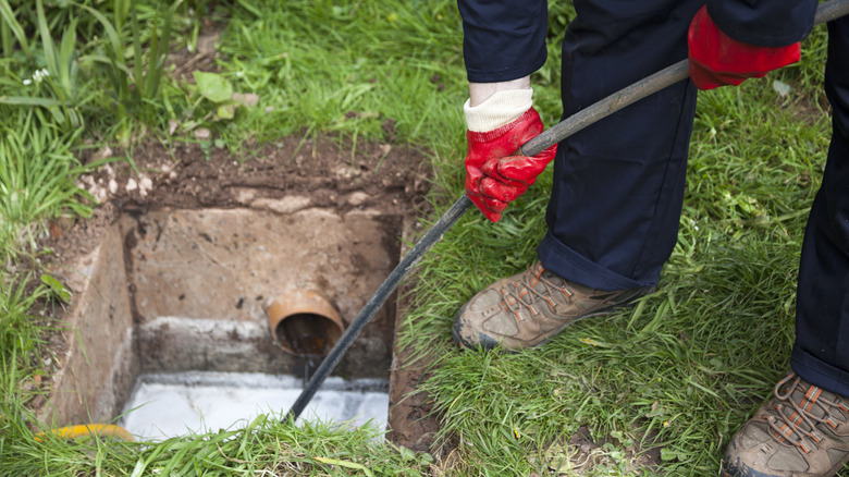 Distribution box of septic system being cleaned