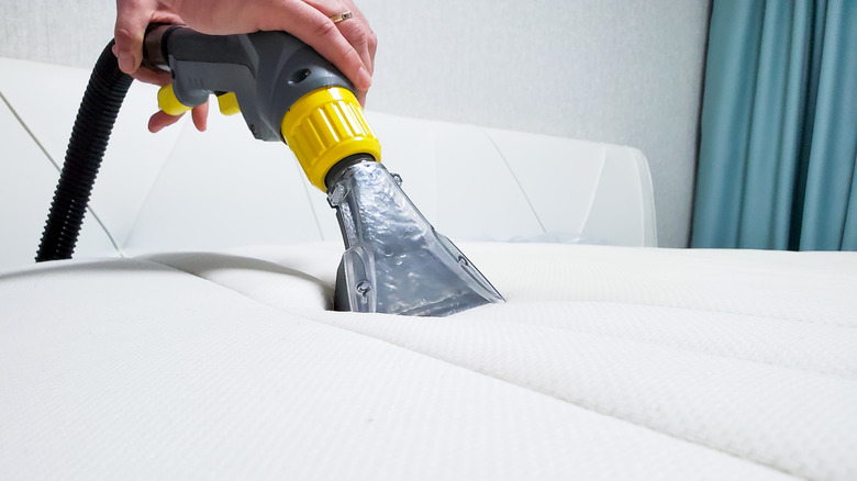 Person cleaning mattress with carpet cleaner