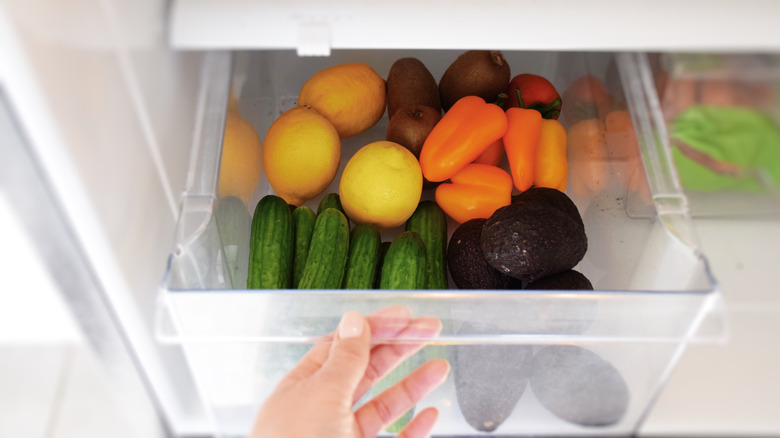 person opening fridge's vegetable drawer