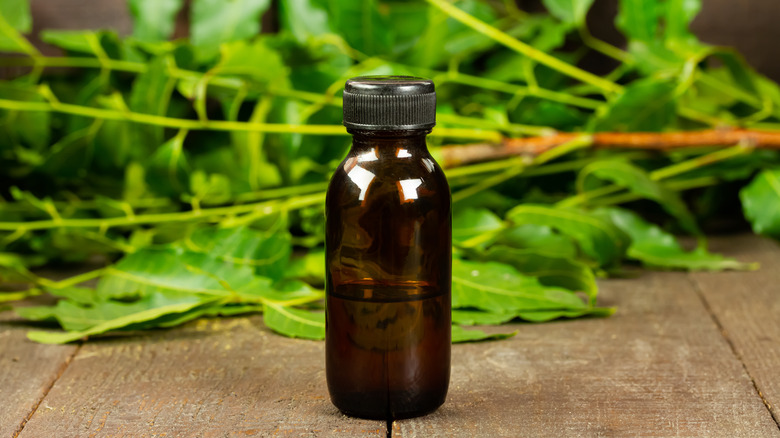 neem oil bottle 