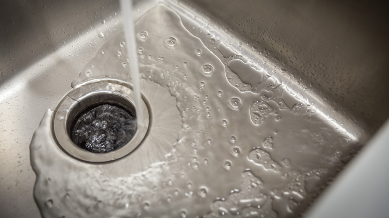 Garbage disposal in sink