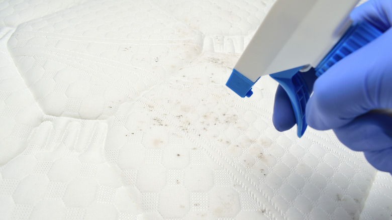 spray bottle cleaning mattress