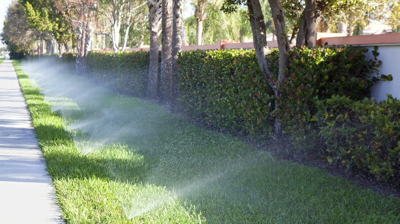 Sprinkler system waters lawn near trees