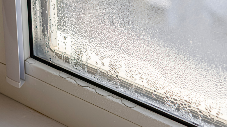 frost buildup on window