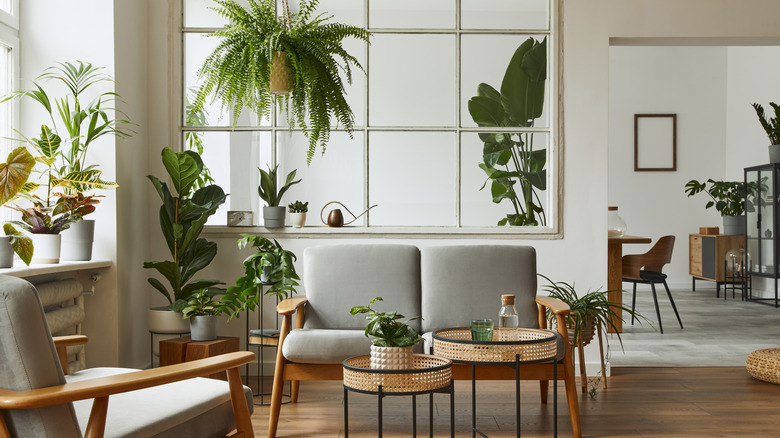 neutral living room with houseplants