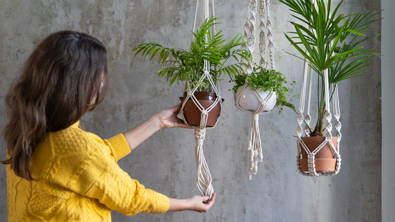 woman by hanging lady palm