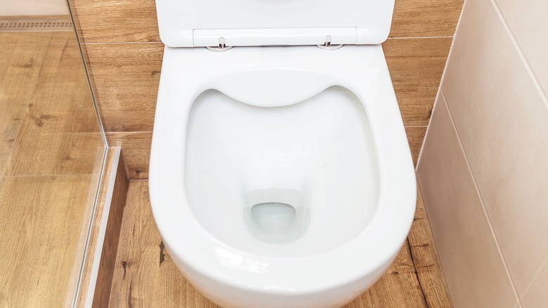 a clean toilet bowl