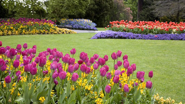 Spring flower beds