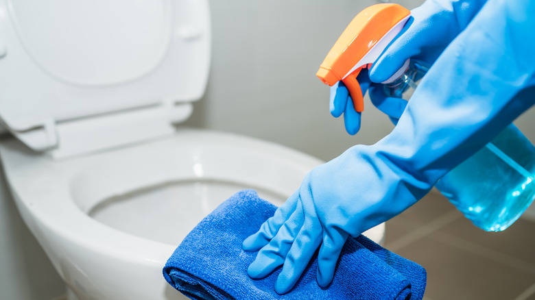 Why You'll Want To Use Windex In Your Toilet Bowl