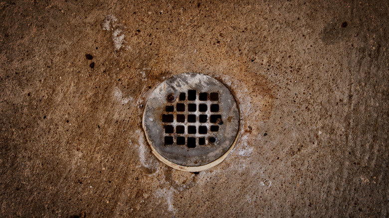 Basement floor drain