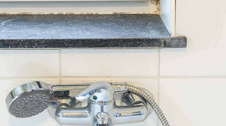 Mold is visible around a bathroom countertop near the controls for a shower.