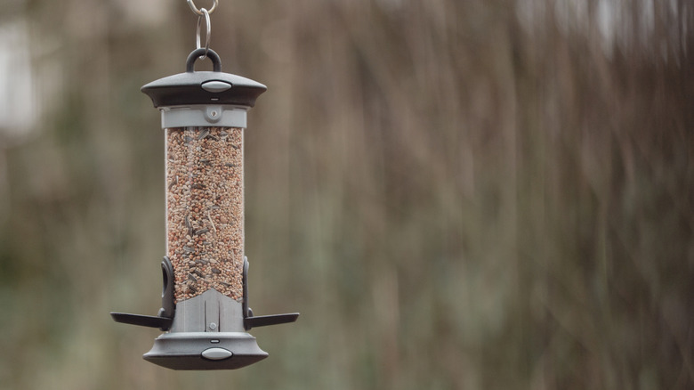 A bird feeder full of seeds is shown hanging.