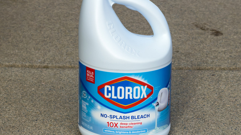A Clorox bleach twin-pack sits on the shelf in a supermarket next to other cleaning products.