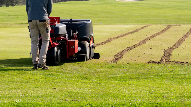 Groundskeeper aerating golf course green with professional turf maintenance machine.