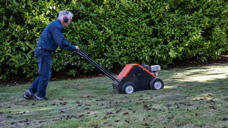 Man pushing around a lawn core aerator