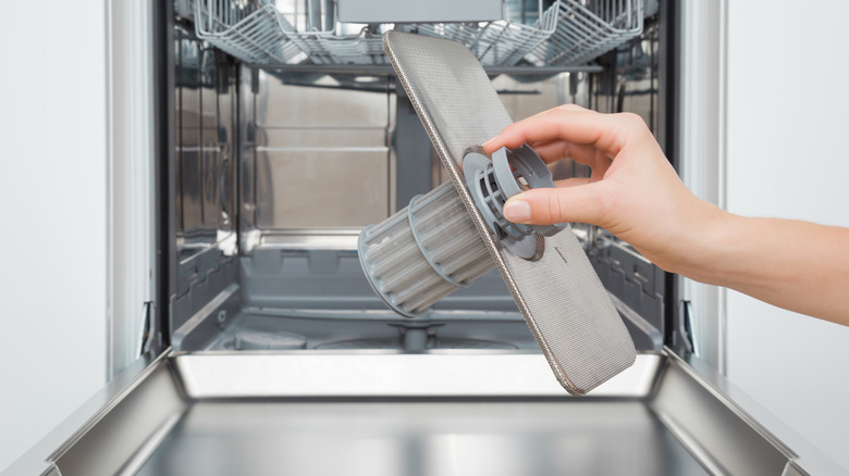 Woman hand holding clean filter for dishwasher