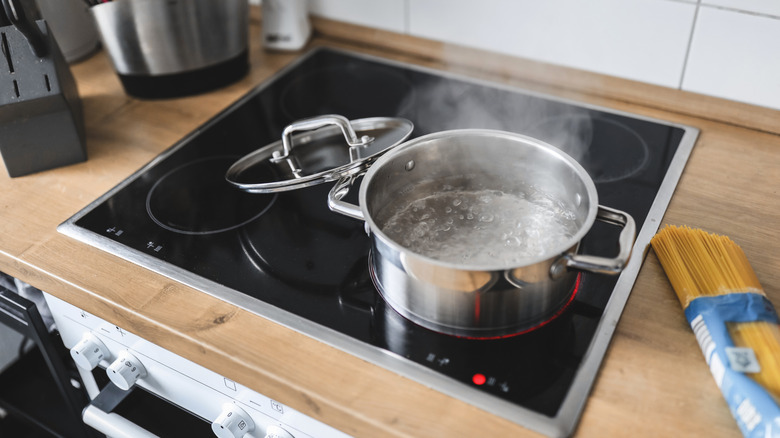 Water boiling in pot on induction stovetop