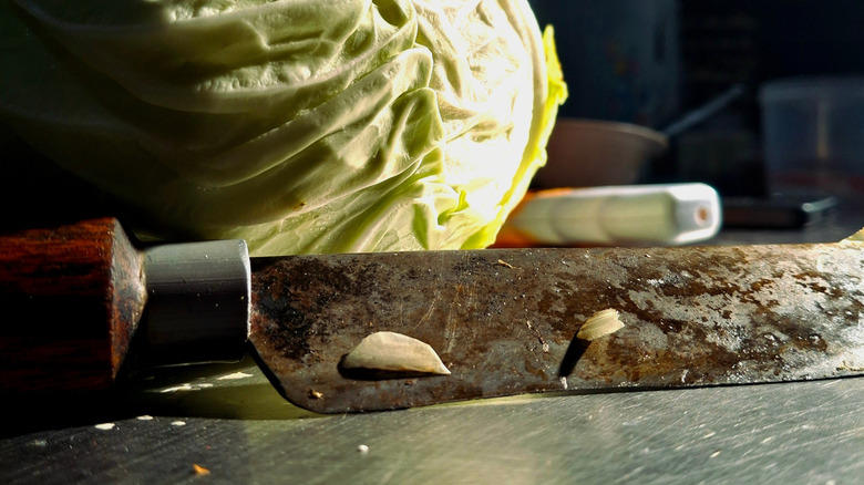 Rusty kitchen knife with cabbage in background
