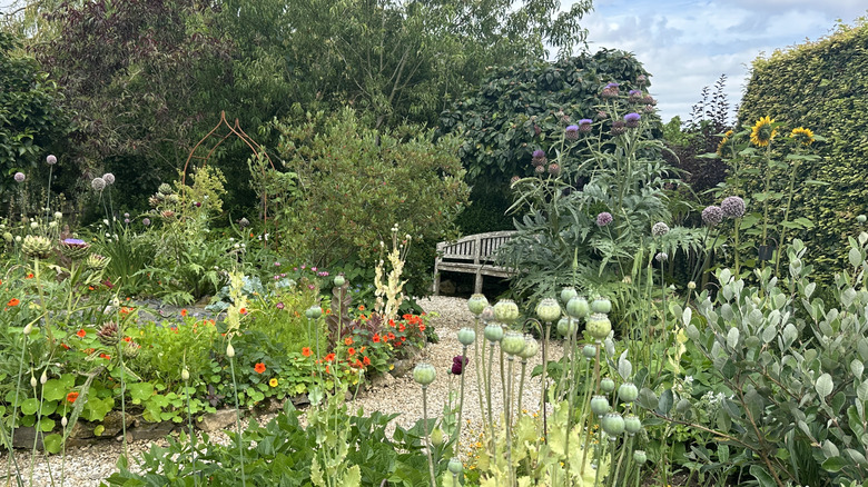A lush backyard full of a variety of flowers, lining a brown gravel path to a wooden bench