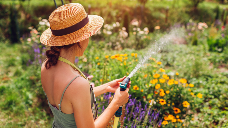 A woman in a sun hat sprays a vibrant garden of flowers with a hose