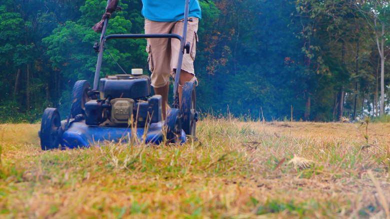 Mower emitting blue smoke while a person mows the lawn.