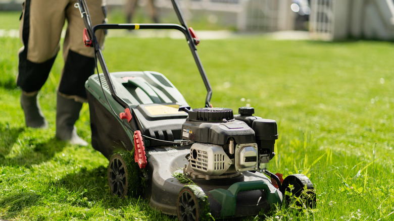 A person mowing the grass