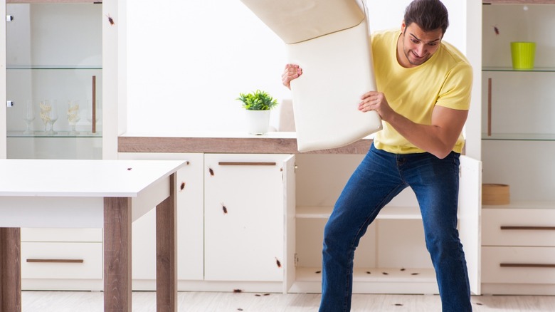 Man battling cockroaches with chair