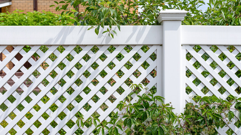 Plants growing around a white vinyl fence