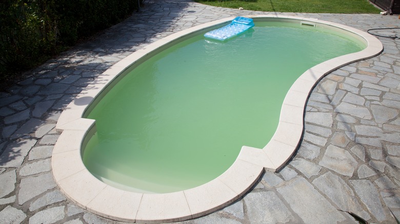 Pool with green water