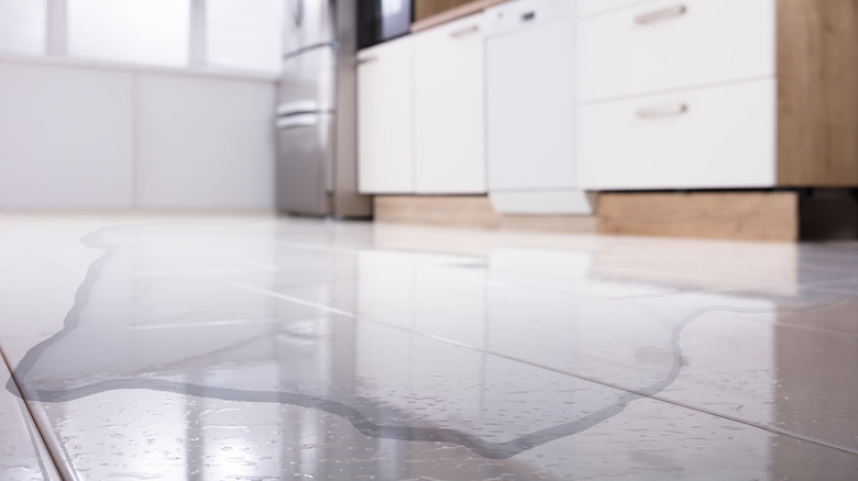 Puddle on floor in kitchen