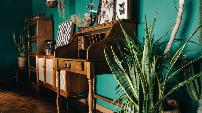 console and cabinets in room with green walls and plants