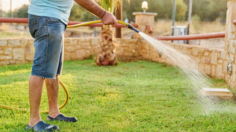 Man watering grass in sunlight