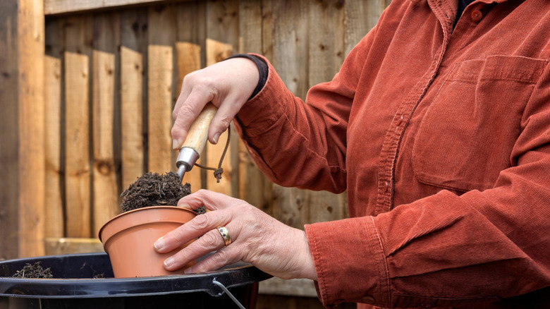 Close-up of gardener sowing seeds into a pot filled with compost on garden potting bench.