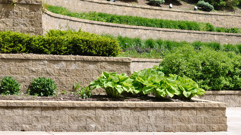 Four retaining walls in a landscaped terrace