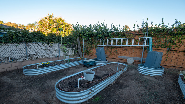 Raised metal garden beds with a watering system in each bed
