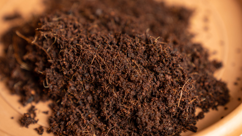A scoop of peat moss in a terracotta pot
